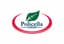 Domric International Ltd. logo